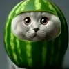 miam.kitten.zazuk