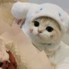 dayana.aisyah_210515
