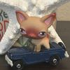 lps_praise_kevin