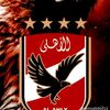 user15619341175482