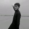 alidogar4612