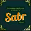 user810837742391