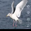 kaarwan64