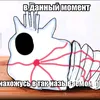 user2778618612994
