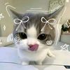 3wrindut_