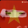 kngoc28th11