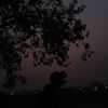 rijan.shrestha52