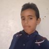 user8246365745219