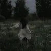 lanaziwar3