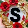 mylovesagor67