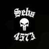 sebs4573_tiktok