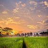 ilyas.nurasit