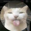 b_mihail4