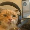 mrtiger5682_