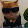 pachodamacho