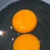 l4_rehn