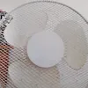 notdoriam7