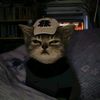 _xx.meimeiimupp33