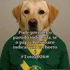 gostaedateucu