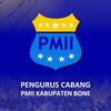 PC PMII Bone
