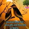 gopalsss7