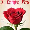 md.emran7277
