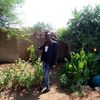 user98386807291344