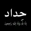 asa_d313
