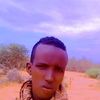 araalibaax