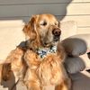 finnpace1