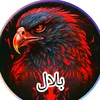 a28o4msm4