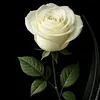 samae9687