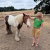 Hope donkeys sanctuary