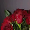 user2113268811461