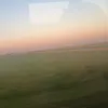 mais_corn1