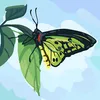 user780641606