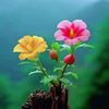 user2888080730182
