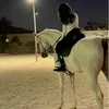 gina.alnasiry