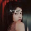 senu7053
