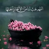 user91981358445257