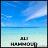 ali.hammoud547