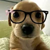nathsalviano_