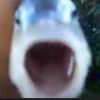 ohyah198