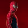 Spidey Collector