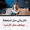 user32076802861787