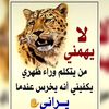 user49514771816762