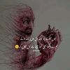 imran.malik54391