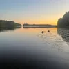 aaponuusikauttaja