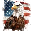 usa.love95
