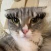 kittaykatxxx